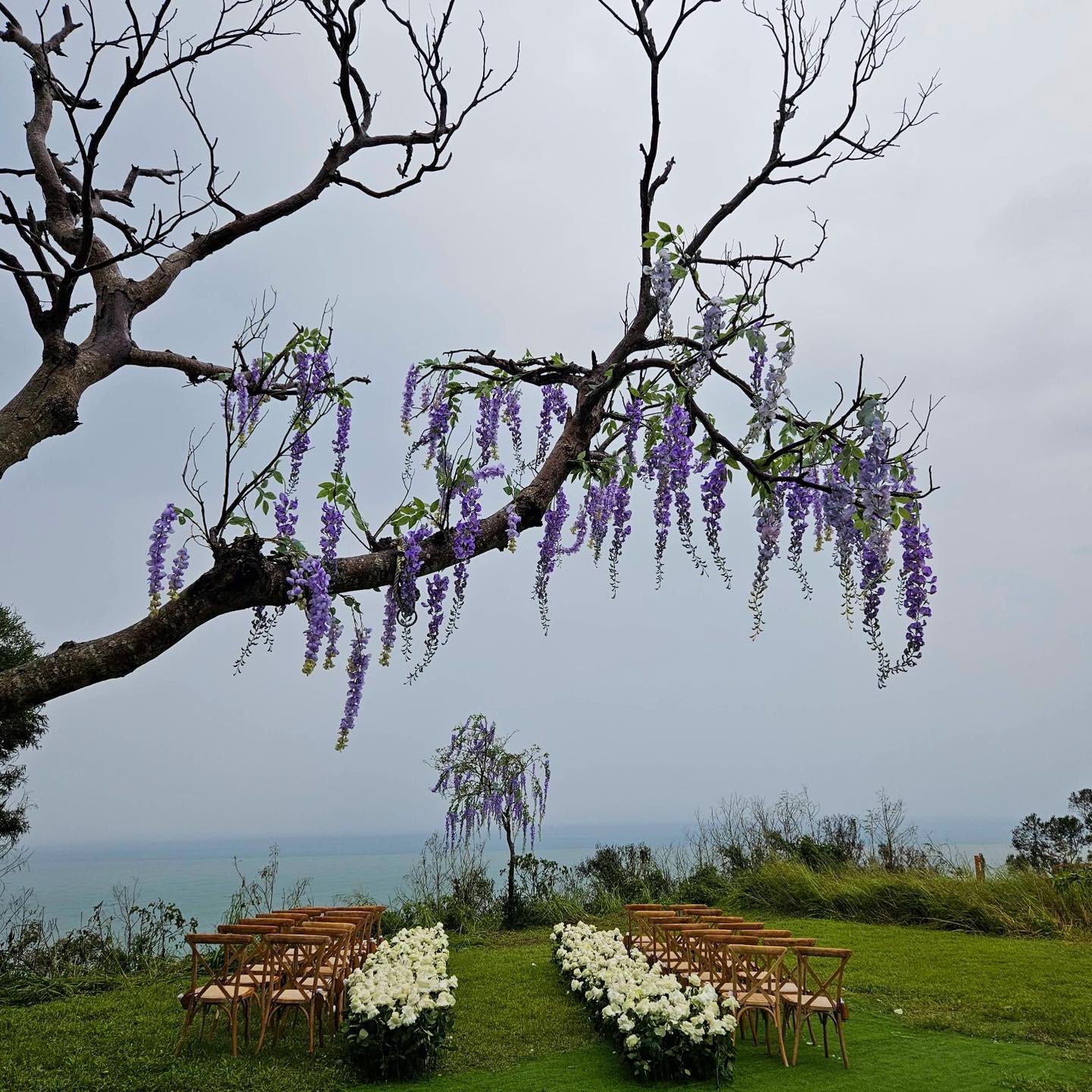 The Wedding at the Wandering Walls -  the wedding decoration